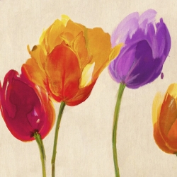 Leinwanddruck mit modernen Blumen. Luca Villa, Tulips in Colors (detail)