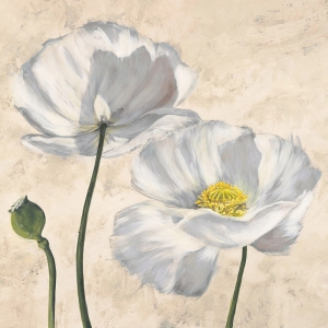 Wall art print and canvas. Luca Villa, Poppies in White I