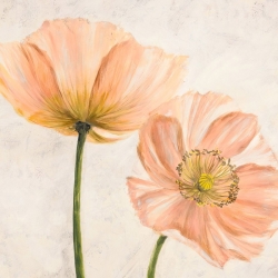 Cuadros de flores en canvas. Luca Villa, Amapolas en rosa II