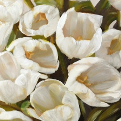 Cuadros tulipanes en canvas. Sanna, Blanco I
