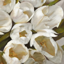 Leinwandbilder Blumen. Leonardo Sanna, Weiss 2