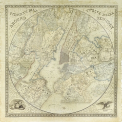 Quadro, stampa su tela. Twelve Miles around NY Map, 1849