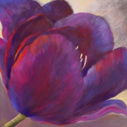 Tableau floral sur toile. Nel Whatmore, Purple Queen