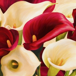 Cuadros de flores en canvas. Serena Biffi, Calla composition (detalle)