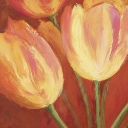 Wall art print and canvas. Silvia Mei, Orange Tulips (detail)