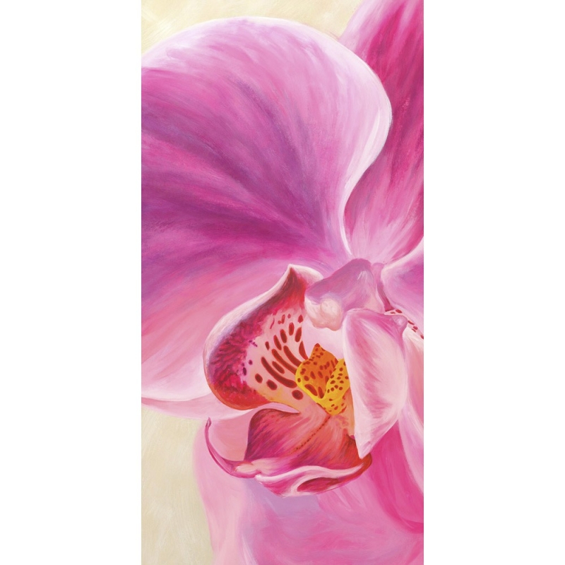 Wall art print and canvas. Cynthia Ann, Purple Orchids I