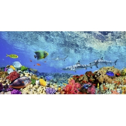 Quadro, stampa su tela. Pangea Images, Squali e pesci, Oceano Indiano