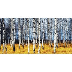Wall art print and canvas. Oleg Znamenskiy, Birch grove in autumn (detail)