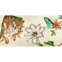 Cuadros botanica en canvas. Remy Dellal, Panel botánico I