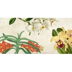 Cuadros botanica en canvas. Remy Dellal, Panel botánico III