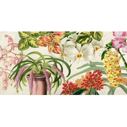 Cuadros botanica en canvas. Remy Dellal, Panel botánico IV