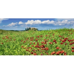 Wall art print and canvas. Krahmer, Farm house with cypresses and poppies, Tuscany, Italy