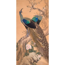 Cuadro japoneses en canvas. Par de pavos reales en primavera