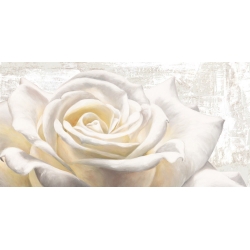 Tableau sur toile. Fleurs modernes, White on White