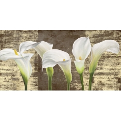 Tableau floral sur toile. Jenny Thomlinson, Callas sur or (mocca)