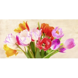 Quadro, stampa su tela. Luca Villa, Tulips in Spring