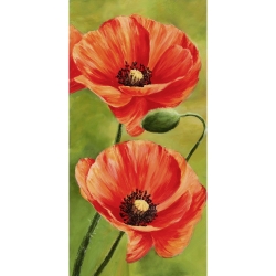 Wall art print and canvas. Luca Villa, Poppies in the wind II