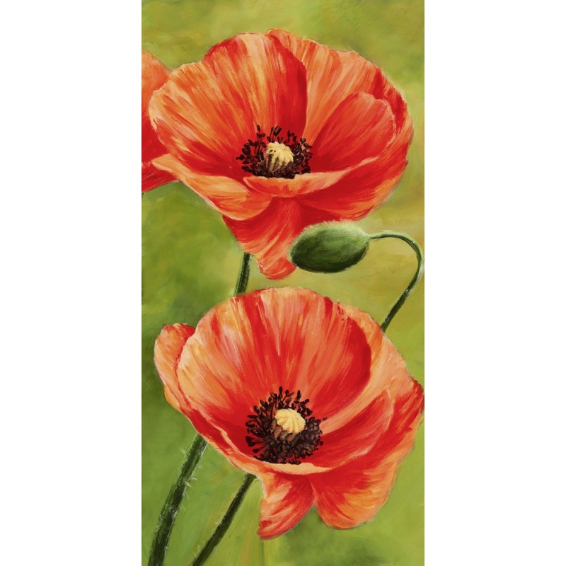 Leinwandbilder mit blumen. Luca Villa, Mohn im Wind 2