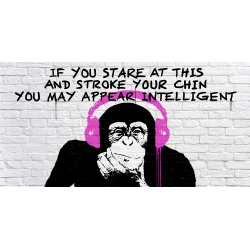 Cuadros graffiti en canvas. Masterfunk Collective, Stroke your Chin