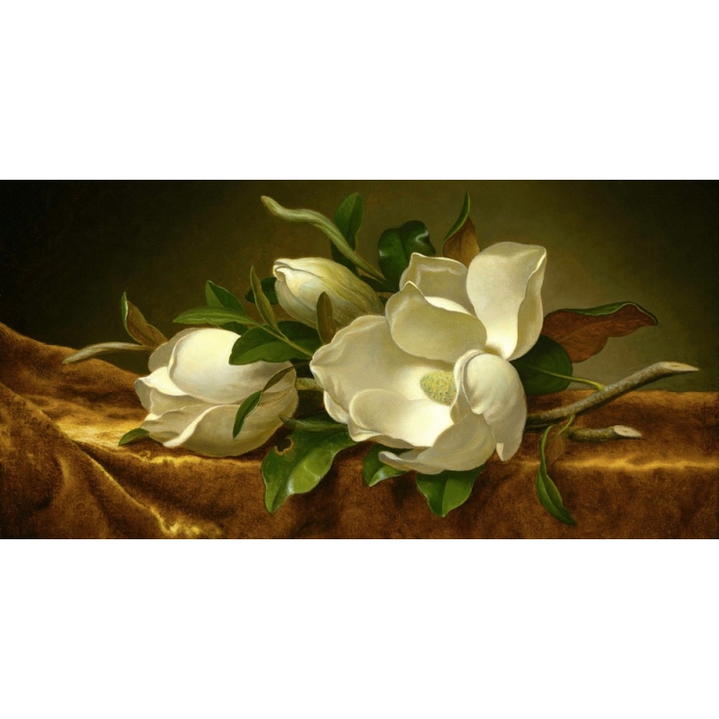Tableau sur toile. Martin Johnson Heade, Fleurs de magnolia