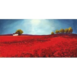 Wall art print and canvas. Philip Bloom, Field of poppies