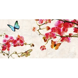 Quadro, stampa su tela. Teo Rizzardi, Orchidee e Farfalle