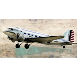 Wall art print and canvas. Teo Rizzardi, Let's Fly Away