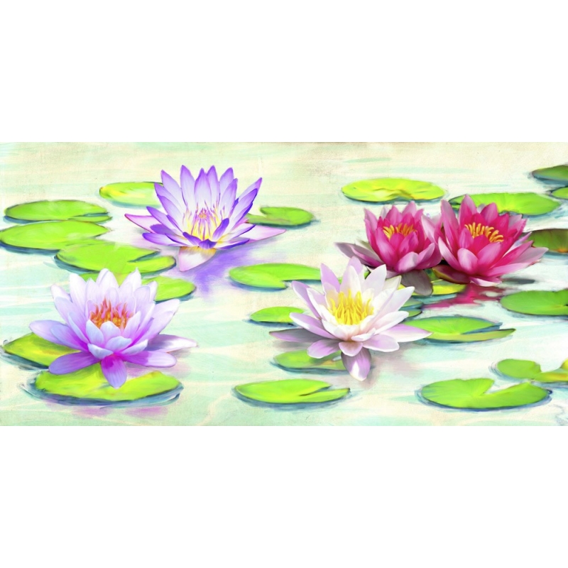 Wall art print and canvas. Teo Rizzardi, Waterlilies