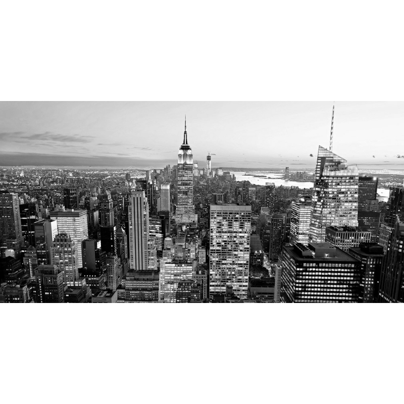Quadro, stampa su tela. Ratsenskiy, Veduta aerea di Manhattan, New York