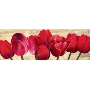 Cuadros tulipanes en canvas. Ann Cynthia, Tulipanes rojos