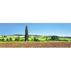 Wall art print and canvas. Krahmer, Cypress in poppy field, Tuscany, Italy