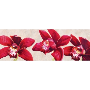 Quadro, stampa su tela. Luca Villa, Eleganti orchidee