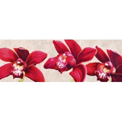 Wall art print and canvas. Luca Villa, Elegant Orchids
