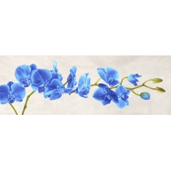 Tableau floral sur toile. Shin Mills, Blue Orchid