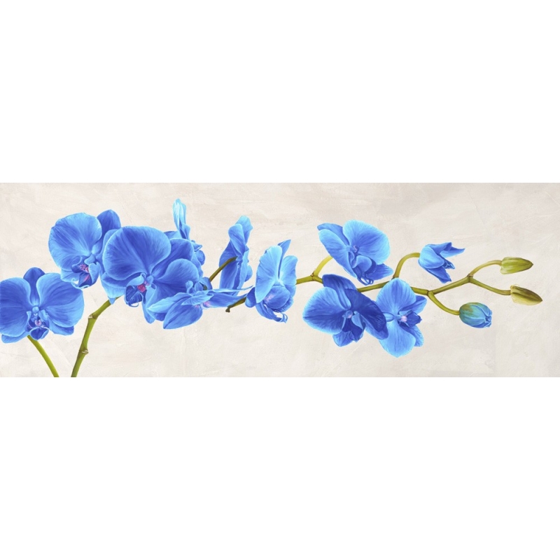 Leinwanddruck mit modernen Blumen. Shin Mills, Blue Orchid