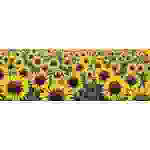 Cuadros de flores en canvas. Marzari, Girasoles (detalle)