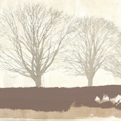 Leinwandbilder mit Bäume. Alessio Aprile, Tree Lines Neutral