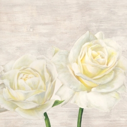 Cuadros de flores modernos en canvas. Jenny Thomlinson, Classic Roses I
