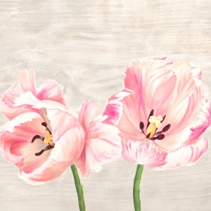 Cuadros tulipanes en canvas. Jenny Thomlinson, Tulipanes clásicos II