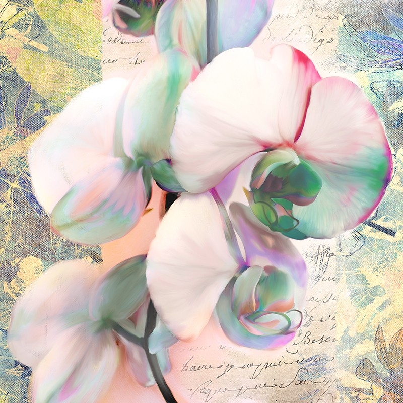 Wall art print and canvas. Kelly Parr, Kaleidoscope Orchid (detail)