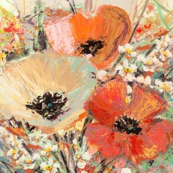 Cuadros amapolas en canvas. Florio, Brotes en flor II