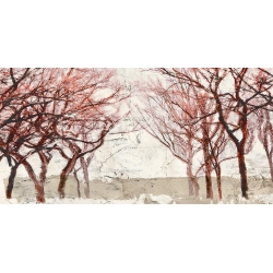 Wall art print and canvas. Alessio Aprile, Rusty Trees