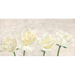 Wall art print and canvas. Jenny Thomlinson, Classic Roses