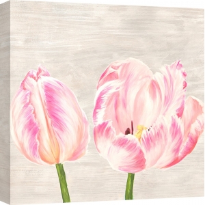Tableau sur toile. Jenny Thomlinson, Tulipes classiques I