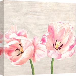 Cuadros tulipanes en canvas. Jenny Thomlinson, Tulipanes clásicos II
