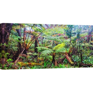 Wall art print and canvas. Pangea Images, Palm and fern forest, Hawaii (detail)