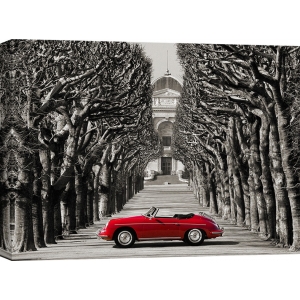 Wall art print and canvas. Gasoline Images, Roadster in tree lined road, Paris