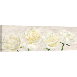 Quadro, stampa su tela. Jenny Thomlinson, Classic Roses
