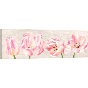 Tableau sur toile. Jenny Thomlinson, Tulipes classiques III