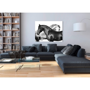 Wall art print and canvas. Pangea Images, Lovers